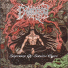 Slumber of Sullen Eyes album cover