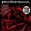 Black Blood Vomitorium (EP) album cover