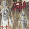 Human album cover